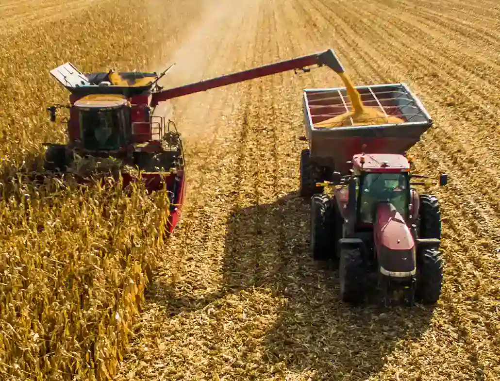 Agriculture