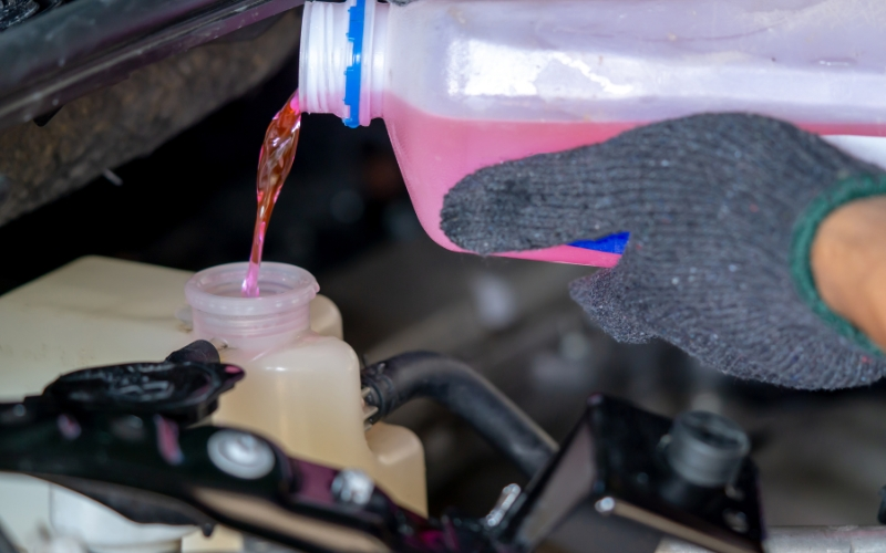 Pouring antifreeze into a car