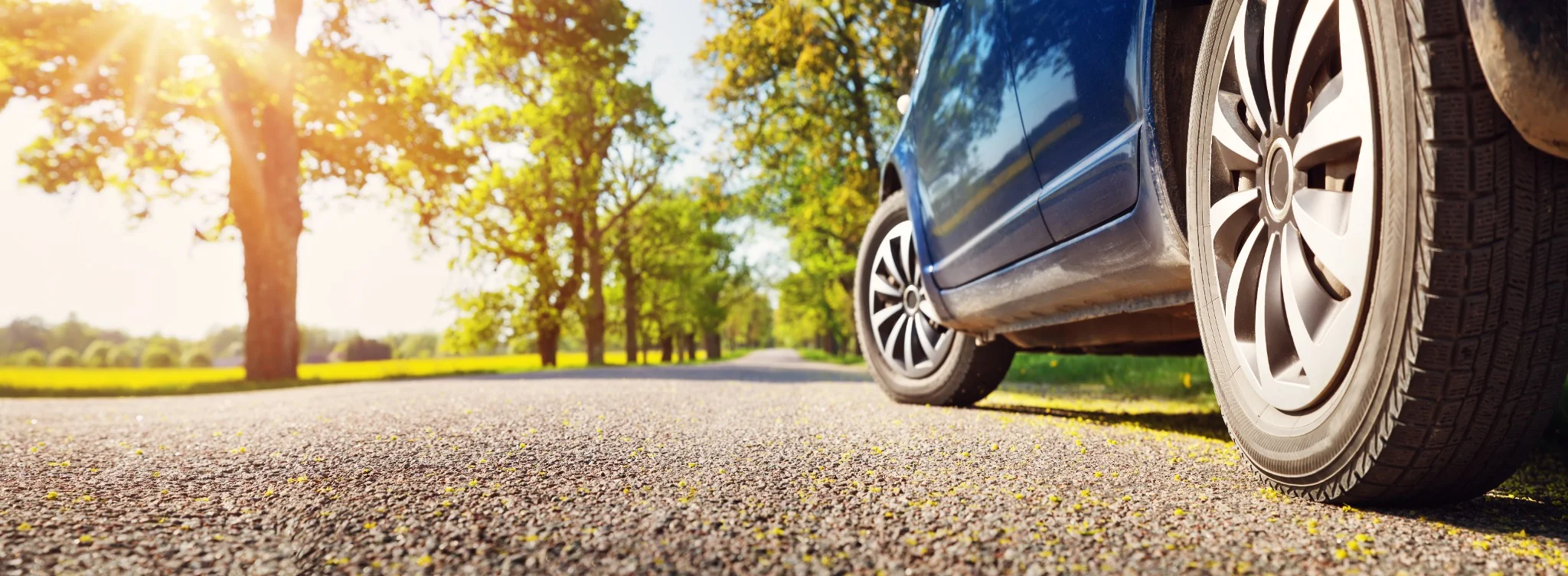 Close-up of car tyres on a tree-lined road.