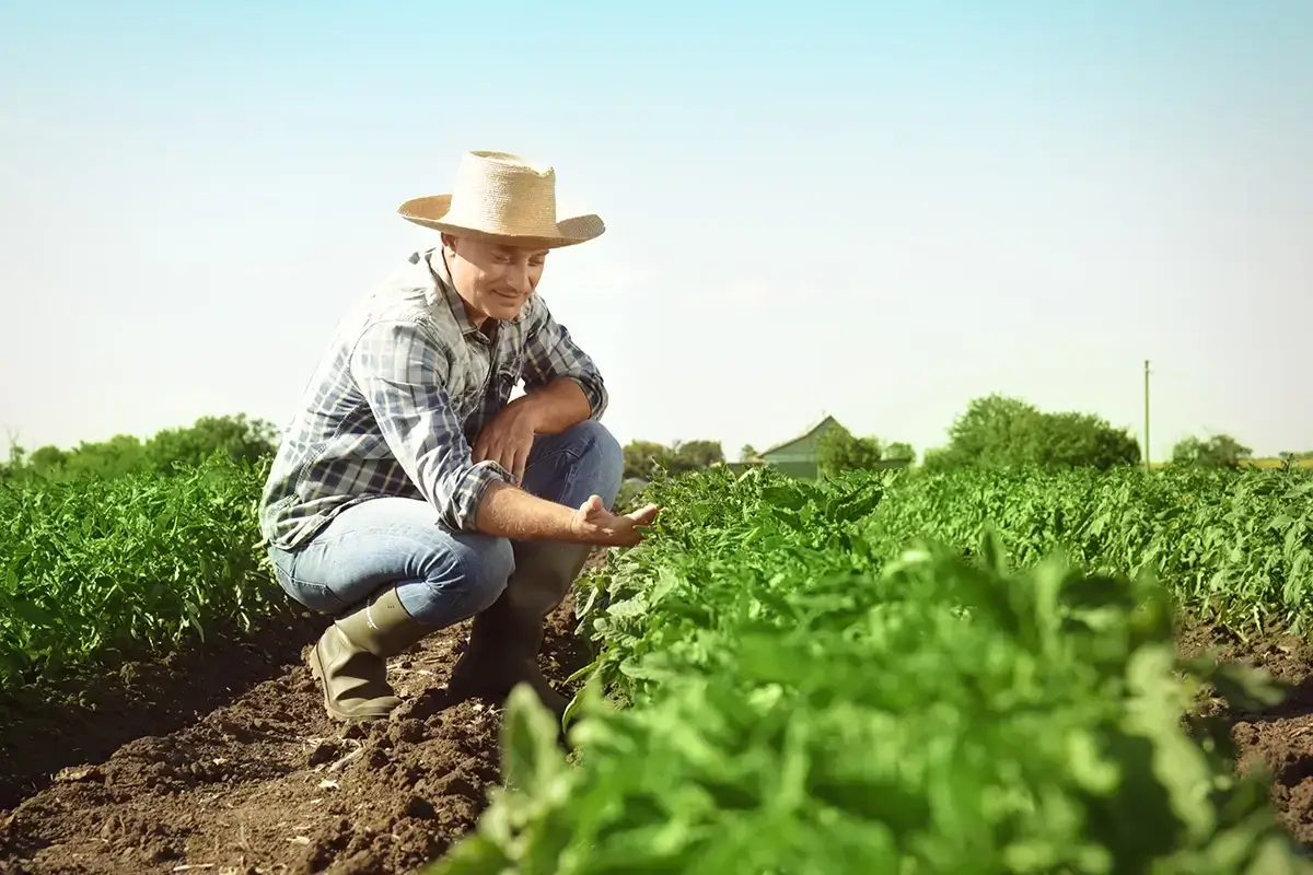 farmers and lubricating farming machinery