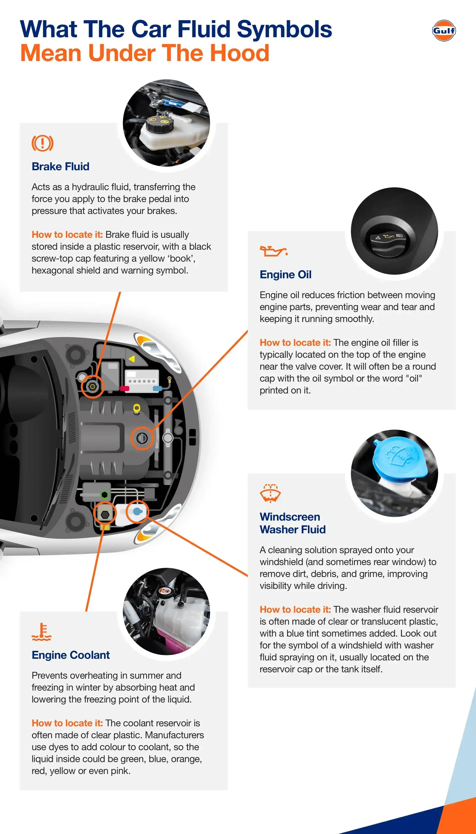 Car fluid symbol infographic