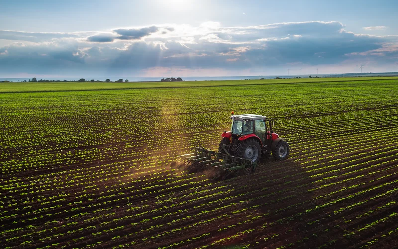 Red tractor cultivating a field.