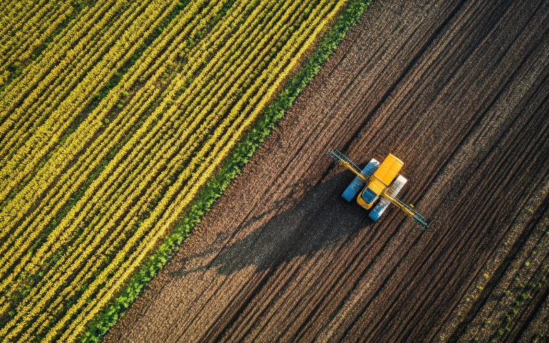 Yellow tractor cultivating crops.
