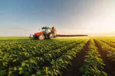 agricultural oil