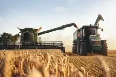 Tractor collecting wheat in a large field
