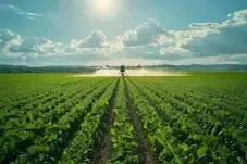 field of crops being sprayed 